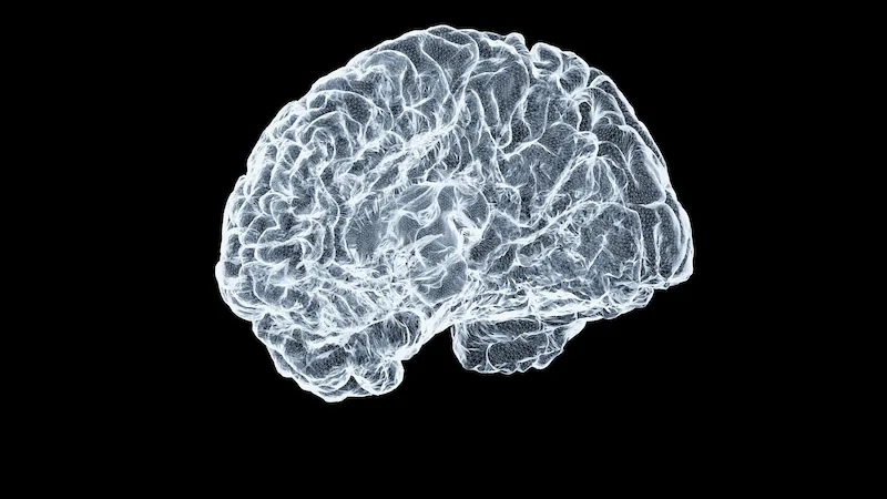 Risques Psychosociaux